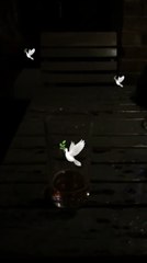 19 Oct 2017 - Adam Anderson via Instagram Story