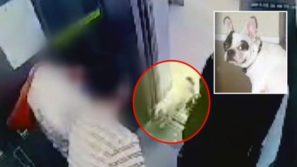 최시원 측에 5만 원 과태료 부과...녹농균 책임공방 / YTN
