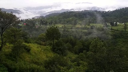 Beauty of nature in Chinmaya Vidyalaya Nauni