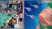 ¿Es posible quedar embarazada en una piscina? Mujer indonesia tiene la respuesta - TomoNews