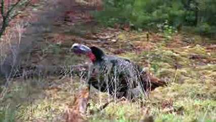 Phim Mũi Tên Xanh Phần 1 - Arrow Season 1