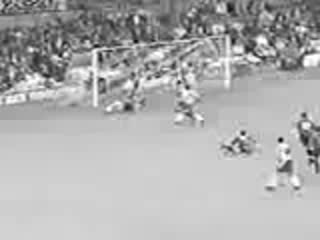 Pele