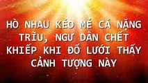 Hò nhau kéo mẻ cá nặng trĩu, ngư dân c.h.ế.t khiếp khi đổ lưới thấy cảnh tượng này