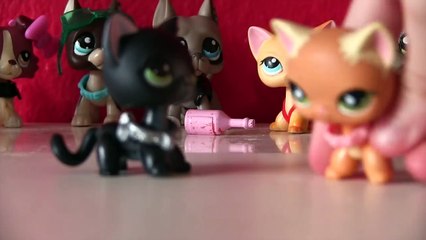 LPS: Dares #6!