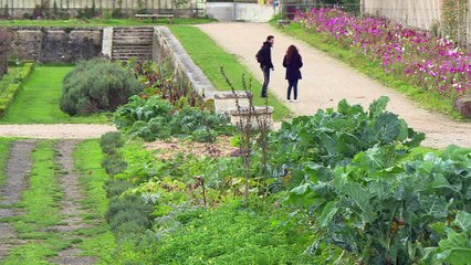 A Versailles, les mécènes au chevet du potager du roi
