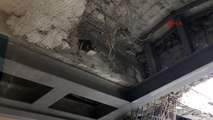 15 Temmuz'da Bombalanan Meclis Çatısına Kuşlar Yuva Yaptı