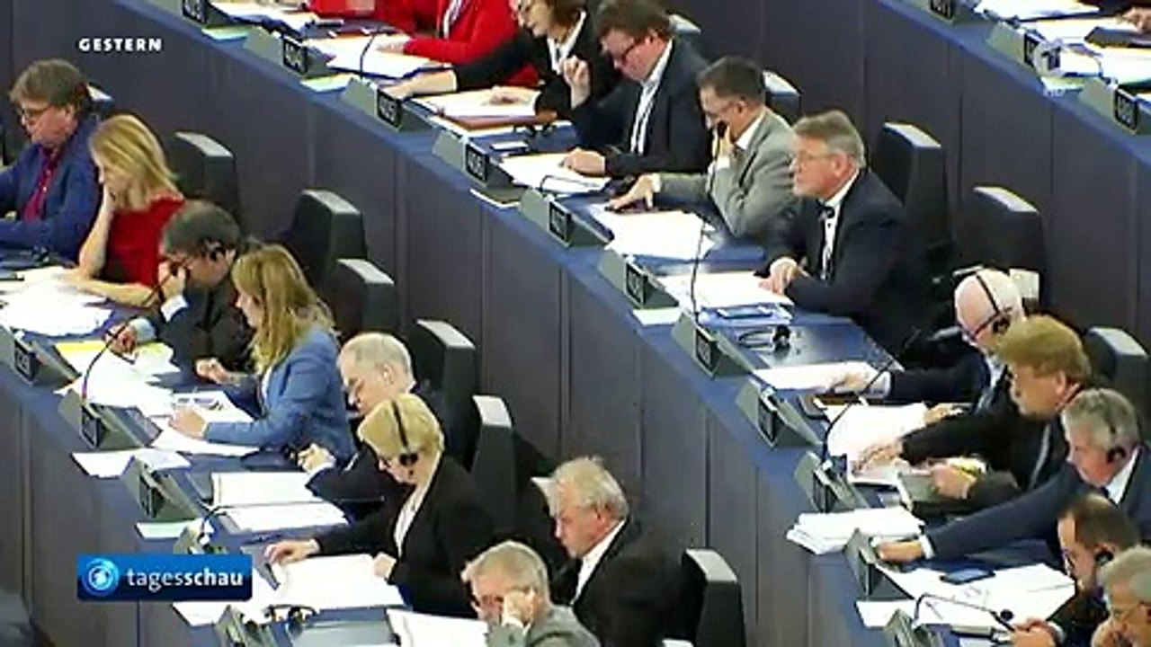 SCHWERPUNKT: EU debattiert über längere Zulassnung von Glyphosat | Tagesschau24