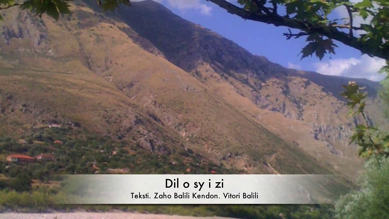Dil o sy i zi