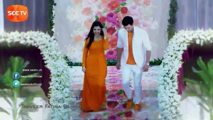 Apnay - Episode 95 - Drama Serial - SEE TV