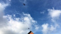 Des hélicoptères de combat survolent la Wallonie