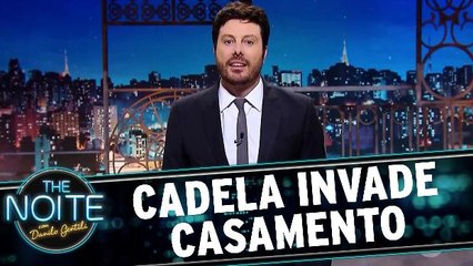 Monólogo: Cadela invade casamento