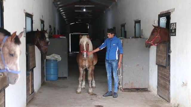 Satın Aldığı Atı Zihinsel Engelli Çocuğa Hediye Edecek