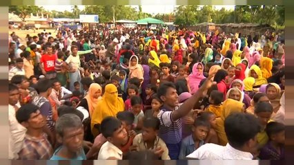 Millions donated for the Rohingya