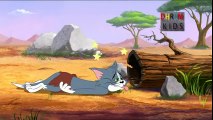 توم وجيري عربي- حلقة غابة الحب- الجزء الاول - Tom And Jerry