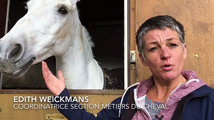 Les élèves de l'IPEA de la Reid prépareront le Jumping International de Liège