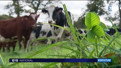 Agriculture : ces producteurs et éleveurs qui n'utilisent plus le glyphosate