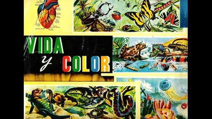 VIDA Y COLOR - ALBUM DE CROMOS -VINTAGE