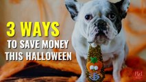 3 Ways to Save Money This Halloween