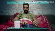 Cybermalveillance.gouv.fr - Protégez votre identité numérique