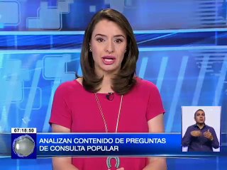 Analizan contenido de preguntas de consulta popular