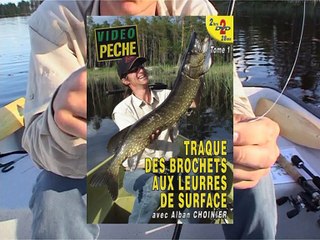 Traque des brochets aux leurres de surface - 1