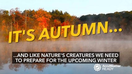 Autumn preparations for winter