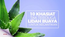 10 Khasiat Lidah Buaya untuk Kecantikan