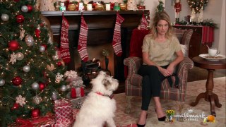 Countdown to Christmas 2017 Hallmark Preview Show 720p X264 Solar