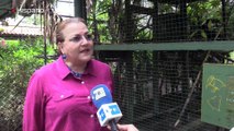 Animales del Zoológico de Nicaragua están en riesgo por falta de presupuesto