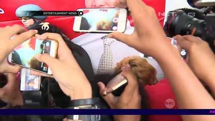 Tora Sudiro Dan Mieke Amalia Tertangkap Menggunakan Narkoba   30 Butir Dumolid