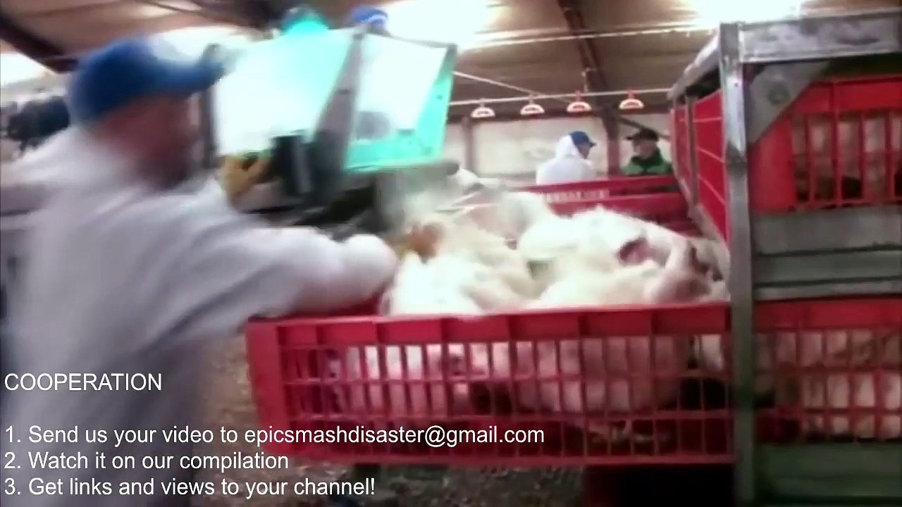 Intelligent Technology Smart Farming Automatic Chicken Turkey Catcher Transportation Collecting Eggs