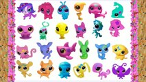 LPS New Party Stylin Pets Blind Bags Littlest Pet Shop new Wave 2 Cookieswirlc Review