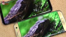 Samsung Galaxy S8  VS Galaxy S7 Edge: ¿Merece la pena el cambio?