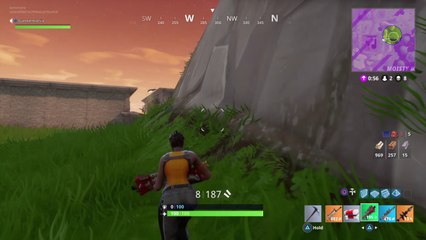 Fortnite Battle Royale game winning kill