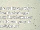 2x Buchs EchtbaumOptik kleine Buchskugel Buxbaum Durchmesser 18 cm 180 mm grün dunkelgrün