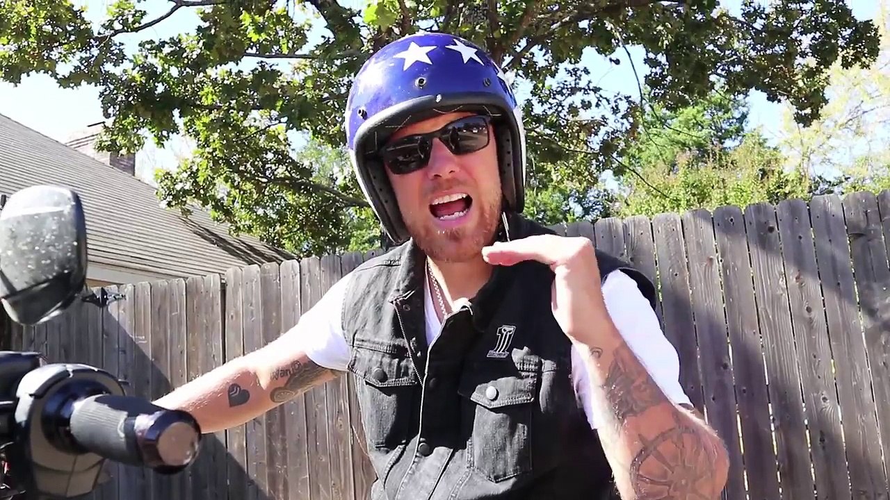 New Softail vs Dyna / Harley-Davidson