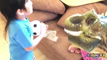 PET DINOSAUR Playing Soccer - Playtime with mimi the dinosaur toys for kids ball game fun Skyheart-1Q9lVPEP0e8