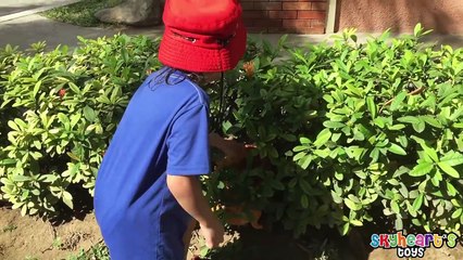 Toddler found a Baby Lion in the Park! ----- Animal Training Stuffed Kokum the Lion toys for kids-158DXb-S3zE