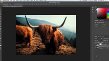 How to make your PHOTOS look CINEMATIC FAST using LUTS in Photoshop!