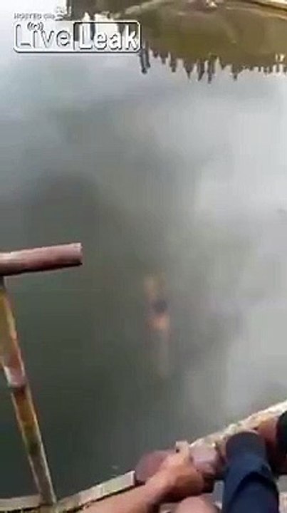 Crocodile v shaman
