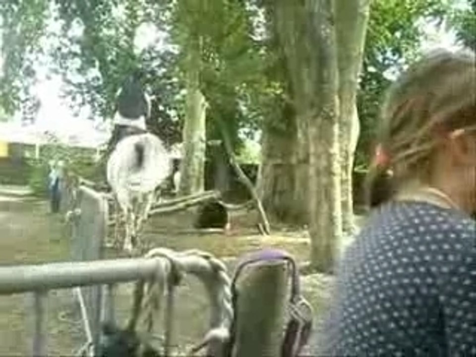 Petit cours dans le sous bois