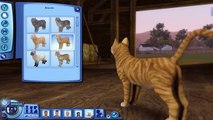 The Sims 3 Pets (Lets Play) - Part 1.3 - Create-A-Cat