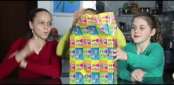 DESAFIO PIE FACE (1) - Torta na Cara - Mileninha - Milena Stepanienco - 10 anos