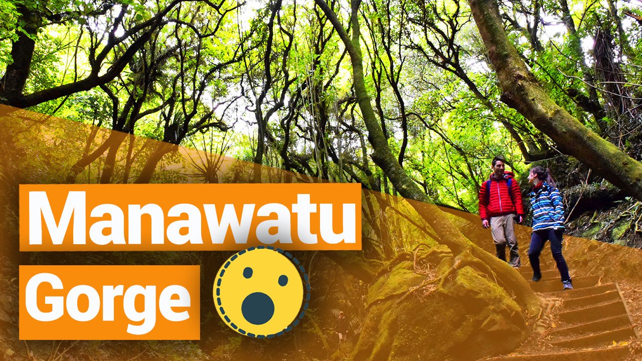 Te Apiti Wind Farm & Manawatu Gorge  - New Zealand's Biggest Gap Year – Backpacker Guide New Zealand
