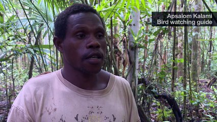 Saving Indonesia’s birds-of-paradise one village at a time