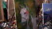 Видеоурок Сахарова Как научиться рисовать лошадь живопись для начинающих, уроки рисования