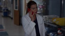 Grey's Anatomy  Season 14 Episode 5 Danger Zone