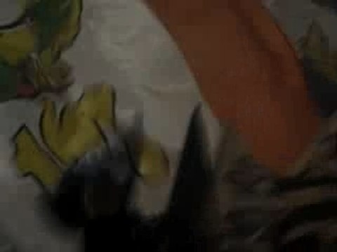 [Lyon - OM] Entrée des joueurs