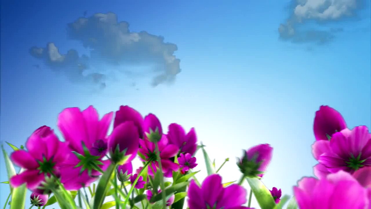 Мыльный камень - Kamila-Secrets Выпуск 19