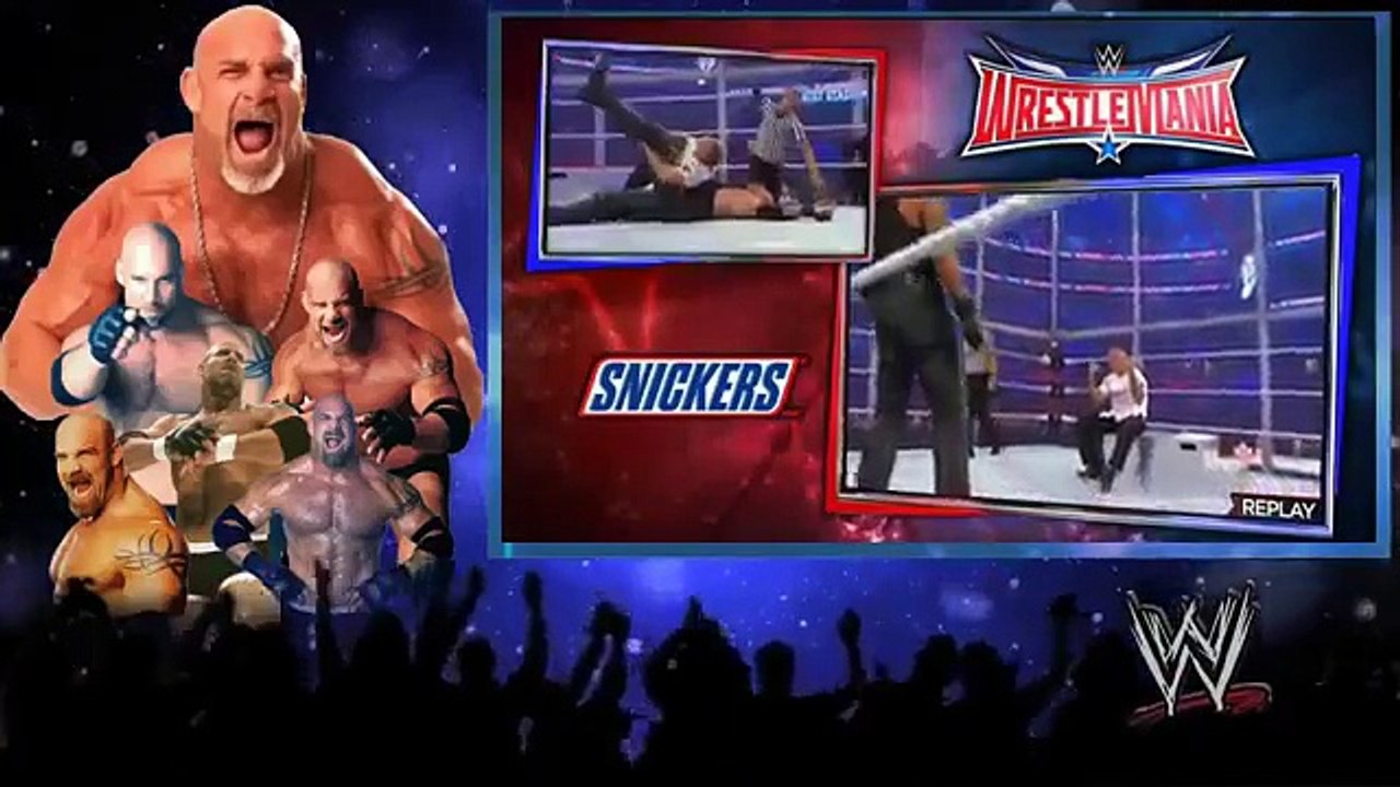 The Undertaker Vs Shane Mcmahon Wrestlemania 32 Hell in a Cell